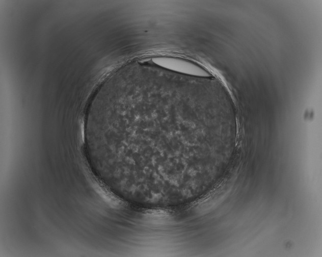 X0000097910061200803281412