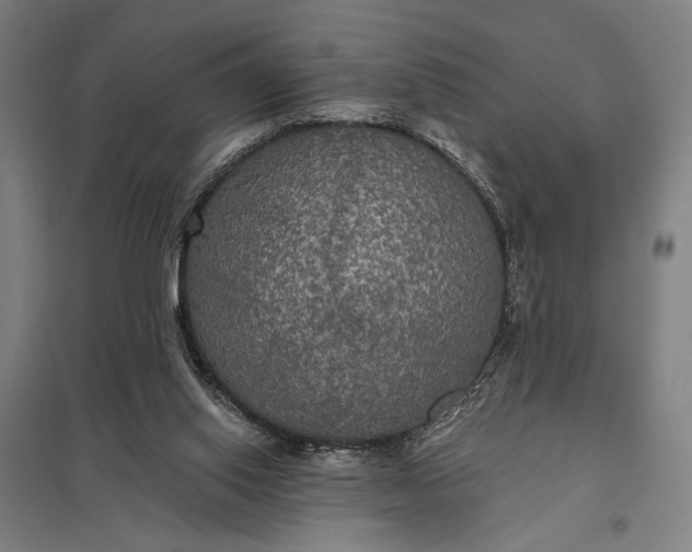 X0000097910062200803281412