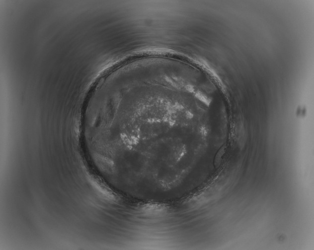 X0000097910063200803281412