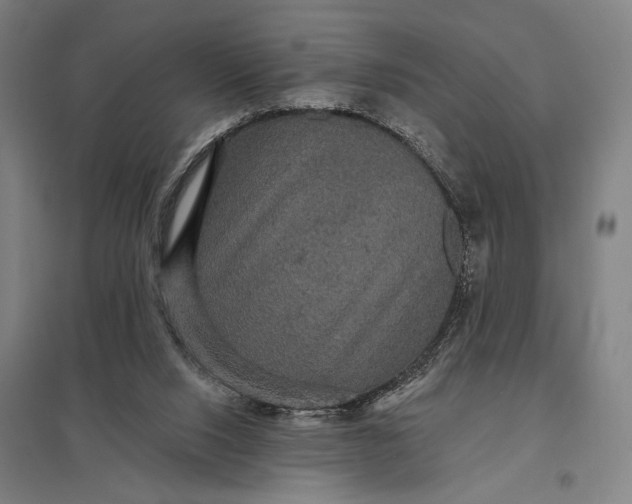 X0000097910064200803281412