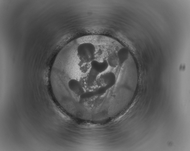 X0000097910065200803281412