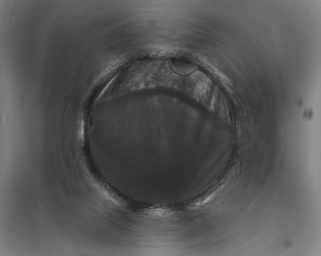 X0000097910067200803281412