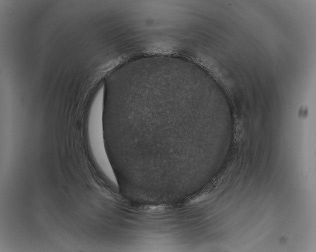 X0000097910068200803281412