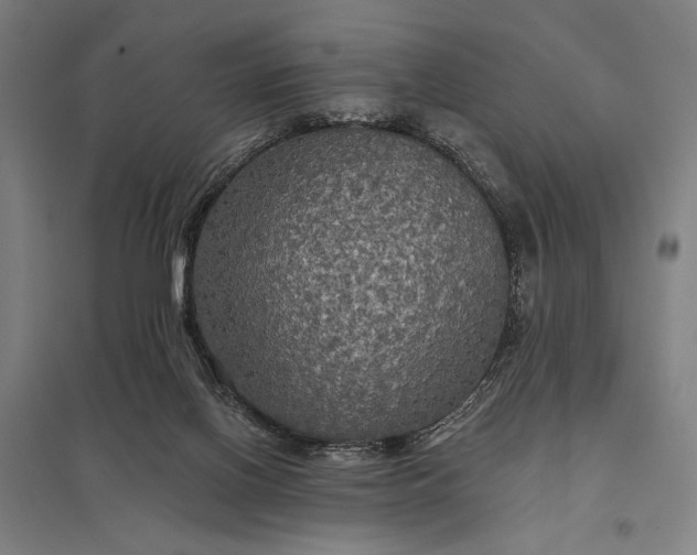 X0000097910070200803281412