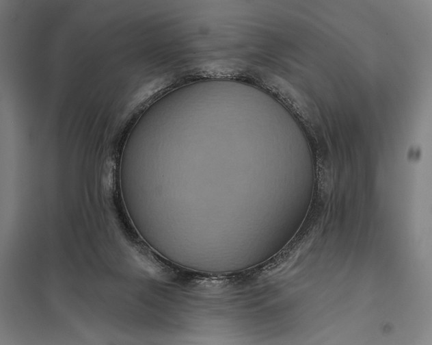 X0000097910071200803281412