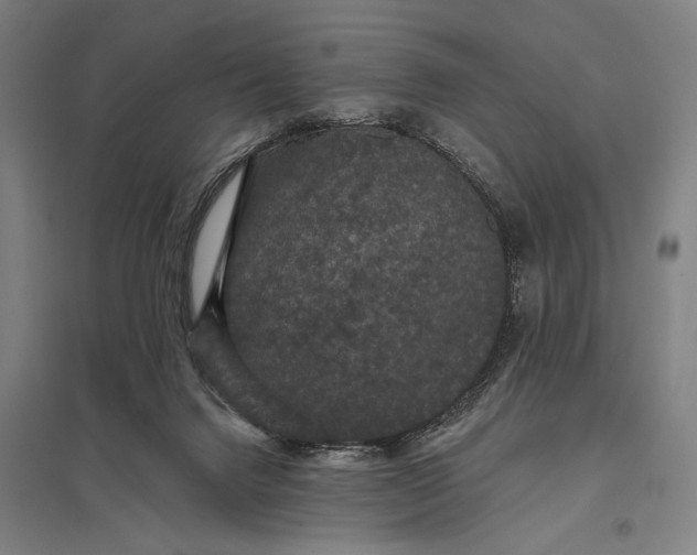 X0000097910072200803281412