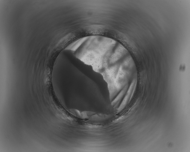 X0000097910073200803281412