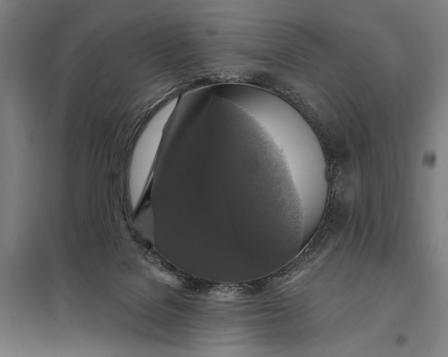 X0000097910076200803281412