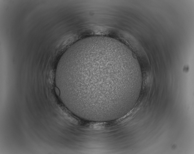 X0000097910078200803281412