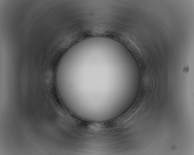 X0000097910079200803281412