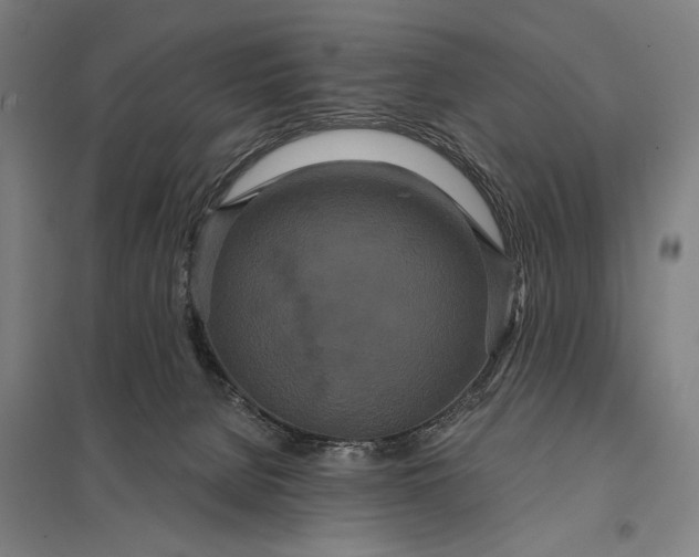 X0000097910080200803281412