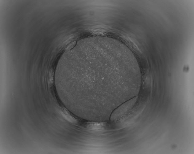 X0000097910081200803281412