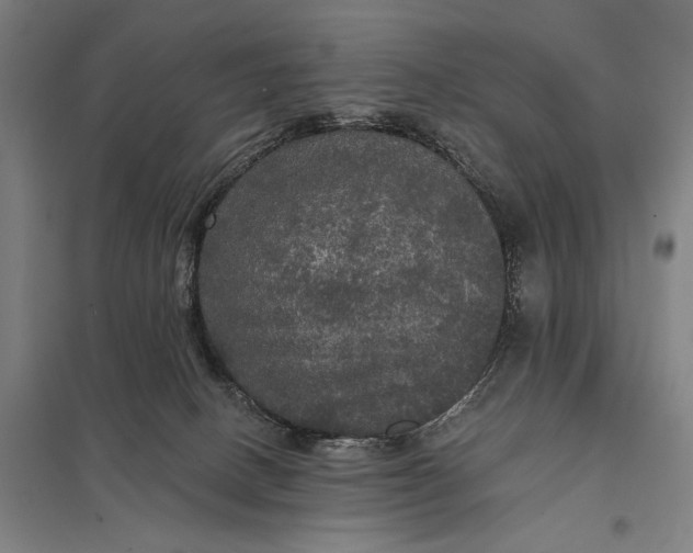 X0000097910082200803281412