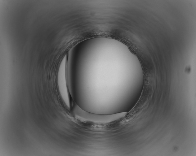 X0000097910084200803281412