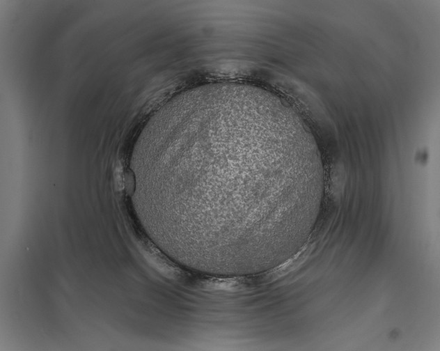 X0000097910086200803281413