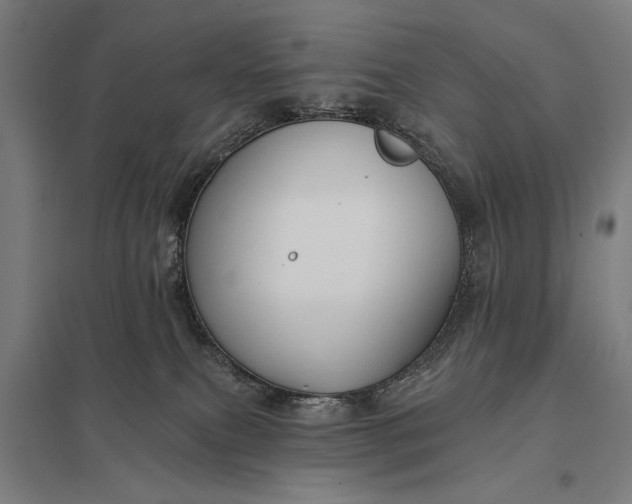 X0000097910087200803281413