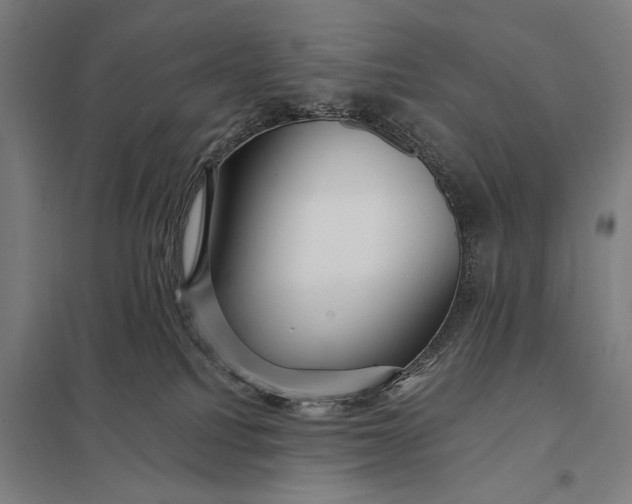 X0000097910088200803281413