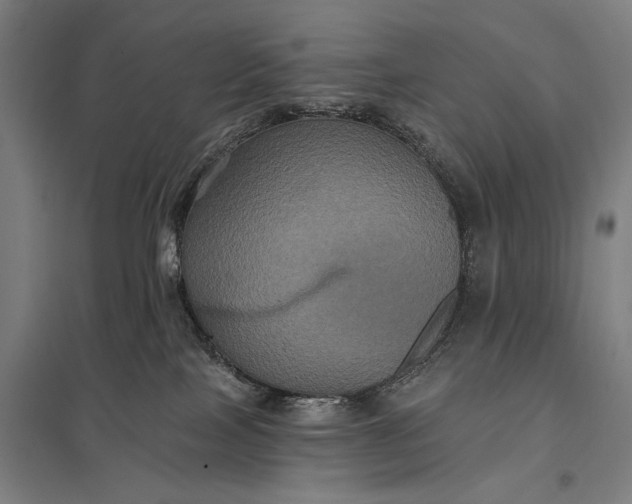 X0000097910089200803281413