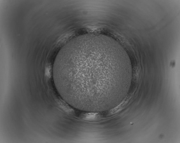 X0000097910090200803281413