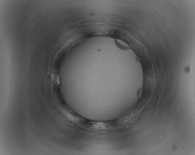 X0000097910091200803281413