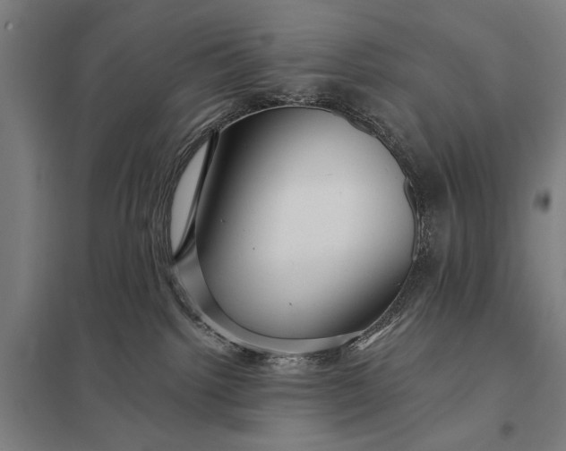 X0000097910092200803281413