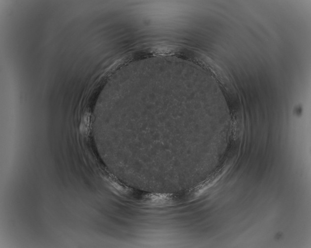 X0000097910093200803281413