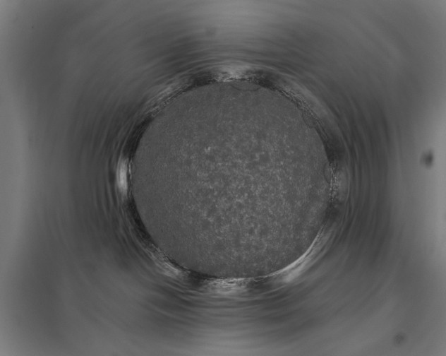 X0000097910094200803281413