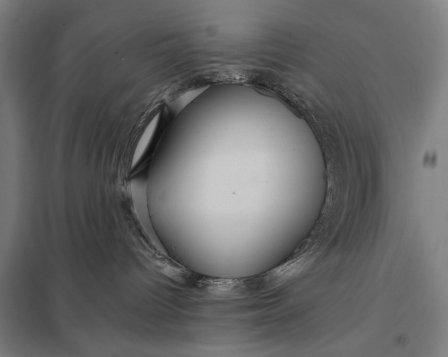 X0000097910096200803281413