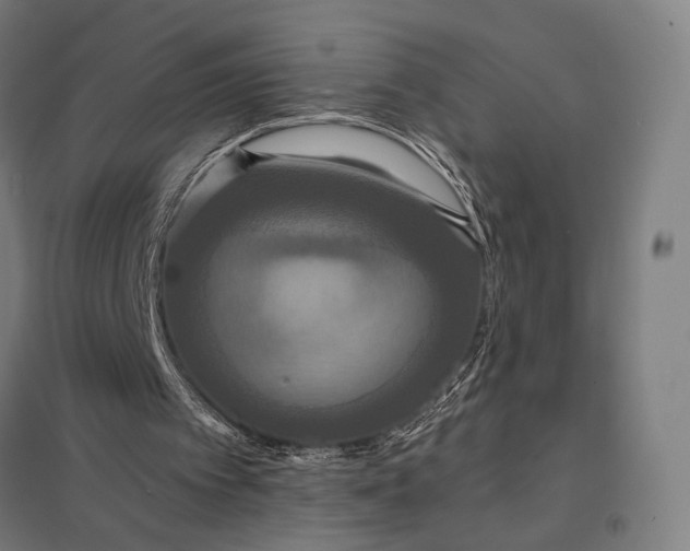 X0000097910097200803281412