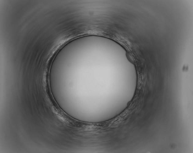 X0000097910098200803281412