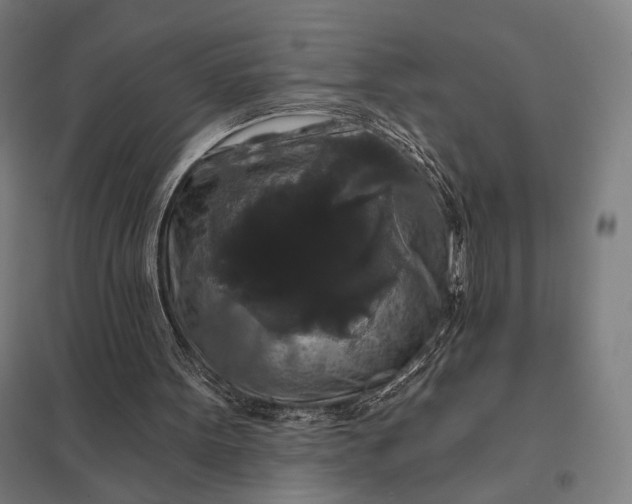 X0000097910099200803281412