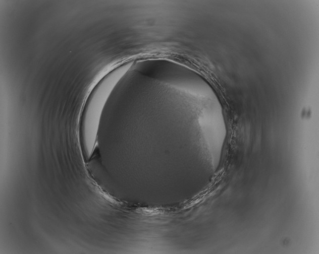 X0000097910100200803281412