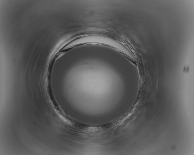 X0000097910101200803281412