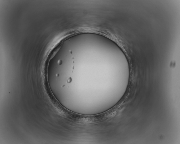 X0000097910103200803281412