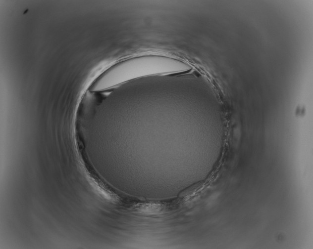 X0000097910104200803281412