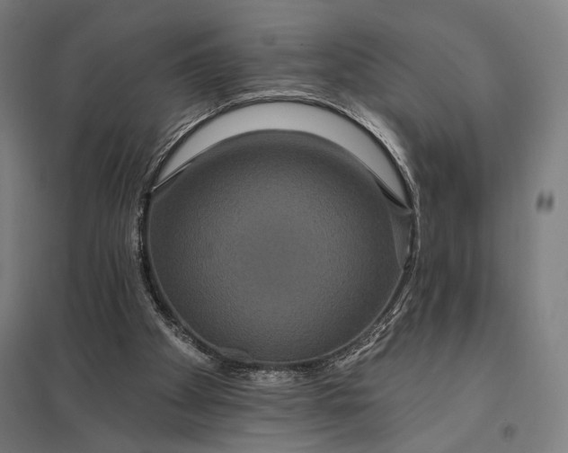 X0000097910105200803281412