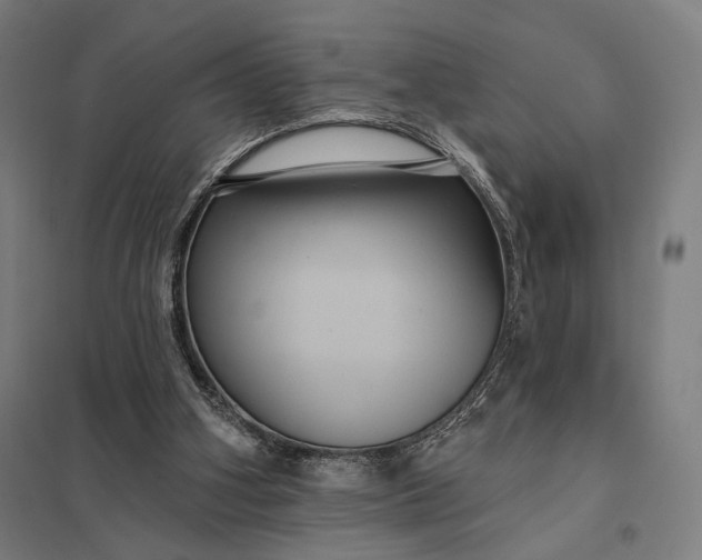 X0000097910106200803281412