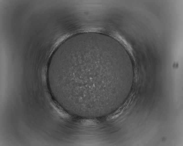 X0000097910107200803281412