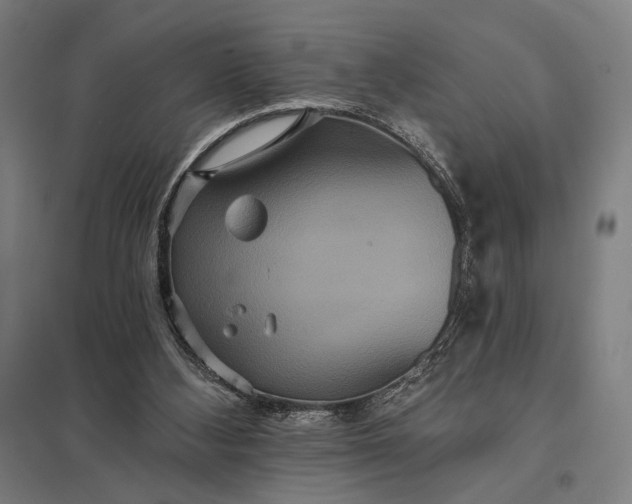 X0000097910108200803281412