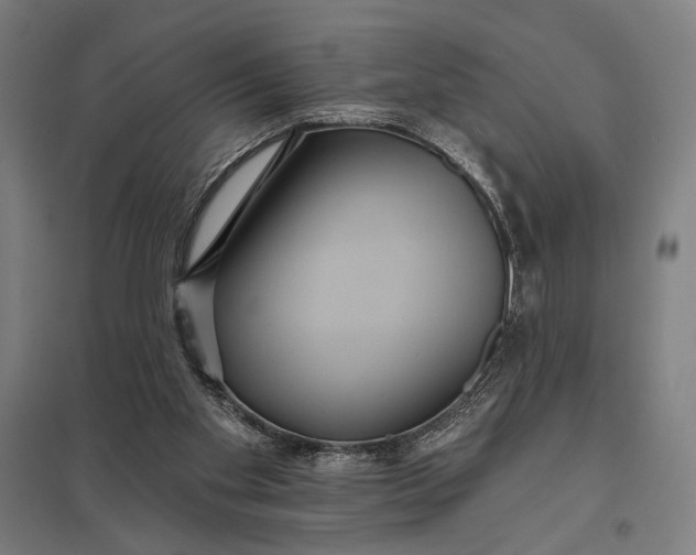 X0000097910109200803281412