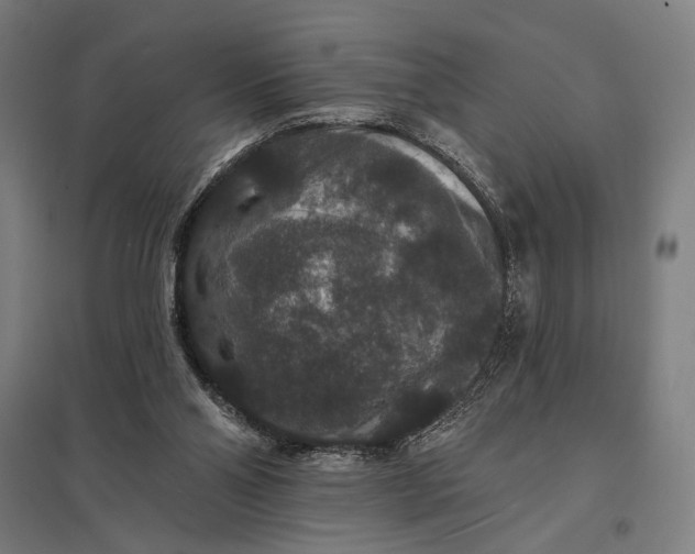 X0000097910110200803281412