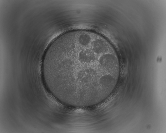 X0000097910111200803281412