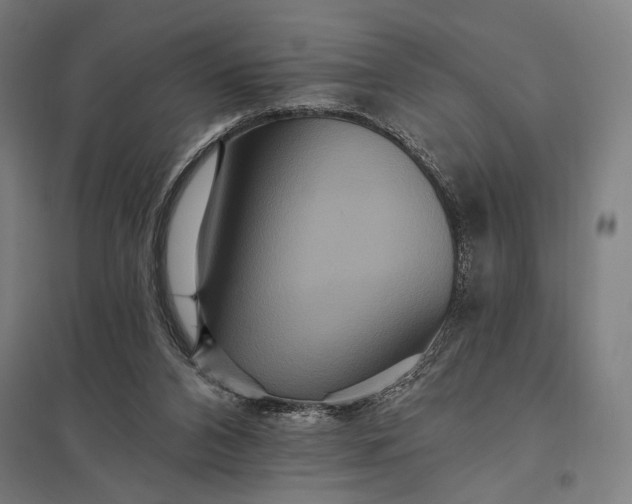 X0000097910112200803281412