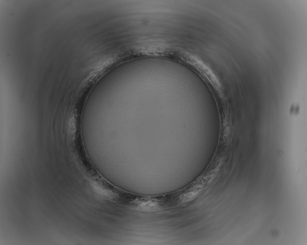 X0000097910113200803281412