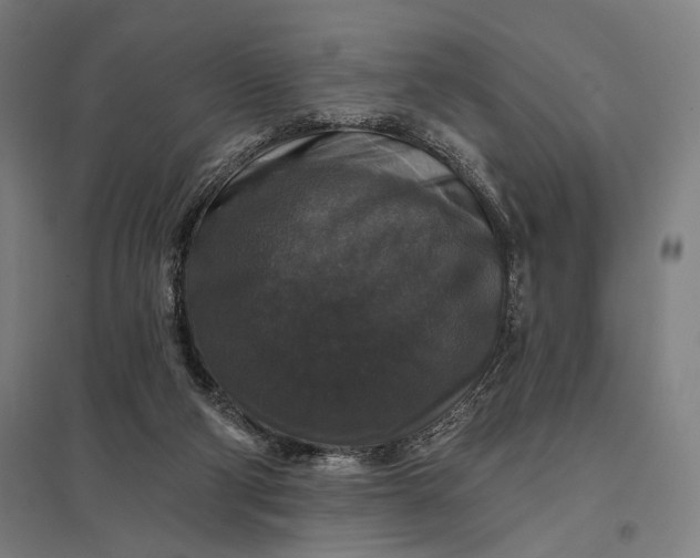 X0000097910114200803281412