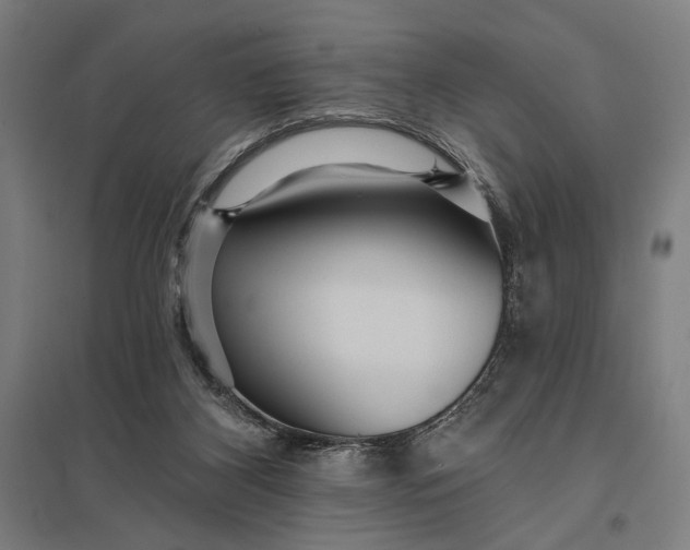 X0000097910116200803281412