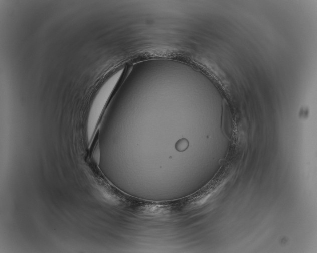 X0000097910117200803281412