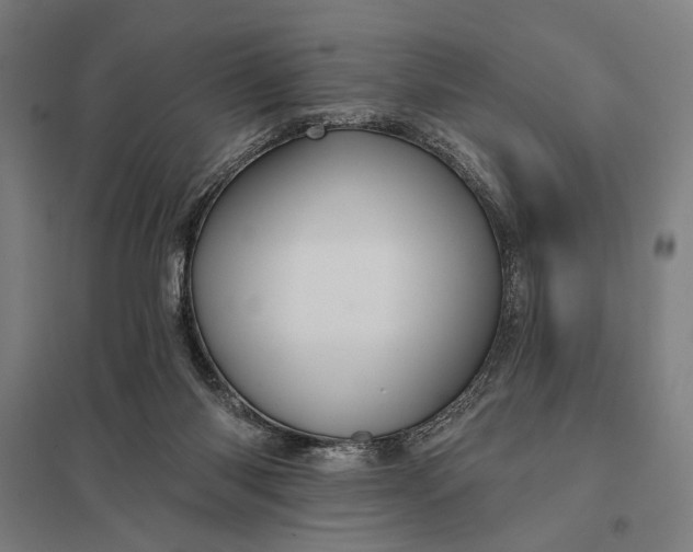 X0000097910118200803281412