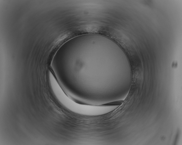 X0000097910120200803281411