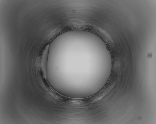 X0000097910121200803281411